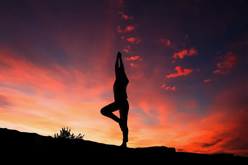 Ką verta žinoti apie: Jogos ir meditacijos studija